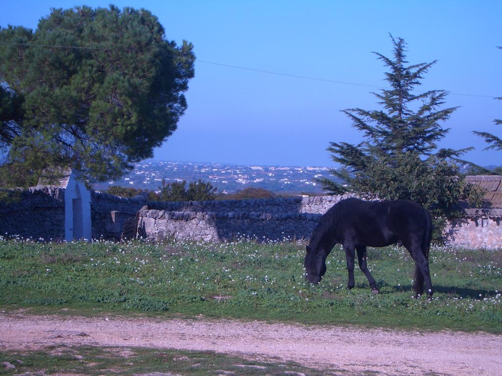 Masseria Pozzo Tre Pile 마르티나프란카 객실 사진